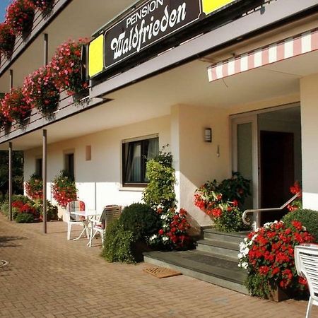 Pension Waldfrieden 上哈尔默斯巴赫 外观 照片