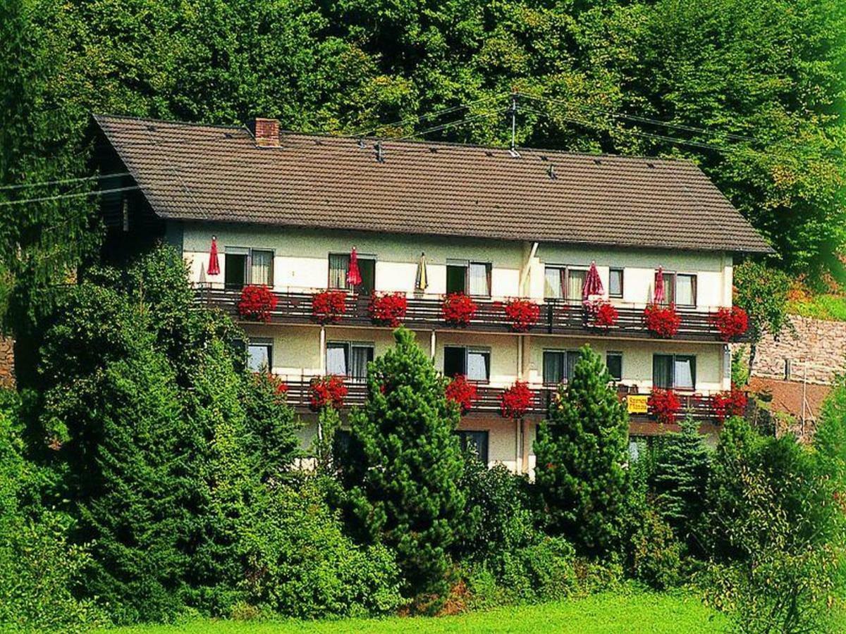 Pension Waldfrieden 上哈尔默斯巴赫 外观 照片