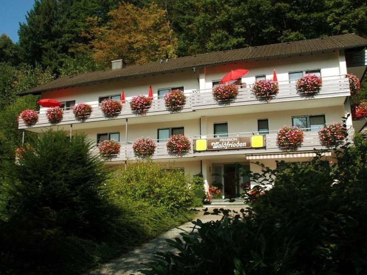 Pension Waldfrieden 上哈尔默斯巴赫 外观 照片